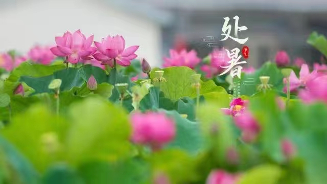 【新山东文学社】题图诗:《夕阳（外五首）》作者/余开东 主播/小小鸟（图4）