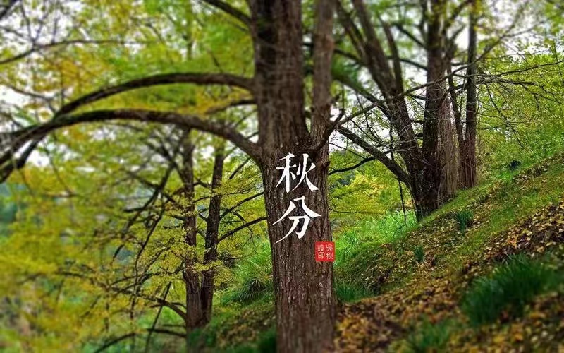 【新山东文学社】题图诗:《夕阳（外五首）》作者/余开东 主播/小小鸟（图8）