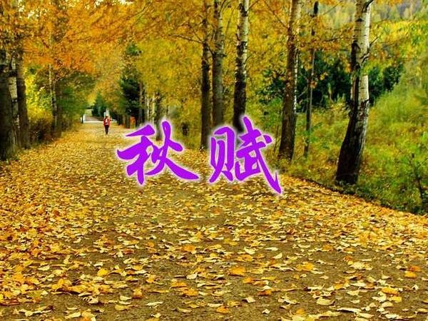 《莺啼序*秋赋》作者: 风清【诵读: 长弓雅士】【华人诗者联盟】为你诵读专属的诗♬（图3）