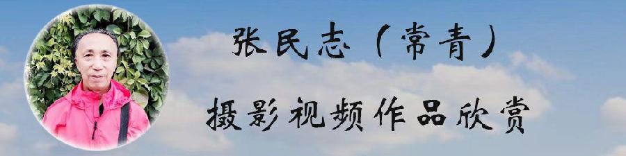 湾仔区协会、湾仔区慈善敬老会、燕然基金会庆祝国庆73周年关爱送暖入社区（图3）