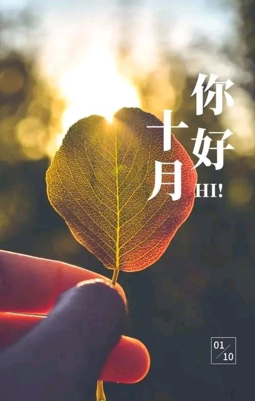 《十月的情怀》作者:王明雪（雪歌）【诵读:金牌主播:马艺军】【桃源国际诗歌集团】[桃源♬ 馨声]（图7）