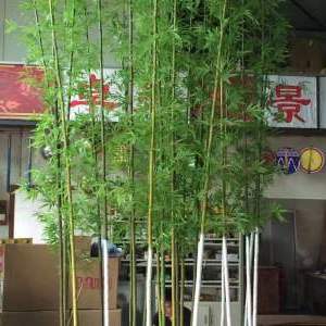 星火诗社九十五期个人专辑《常务副社长王元业系列作品(一)》(图75)