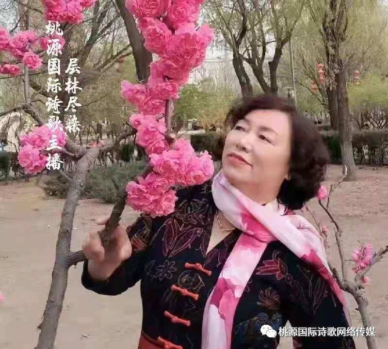 《思念成河》作者:春羽（山西）【诵读:金牌主播:层林尽染】【桃源国际诗歌集团】[桃源♬ 馨声]（图12）