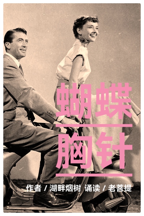 🦋 蝴蝶胸针 🦋作者:湖畔烟树 诵读:老菩提(图2)