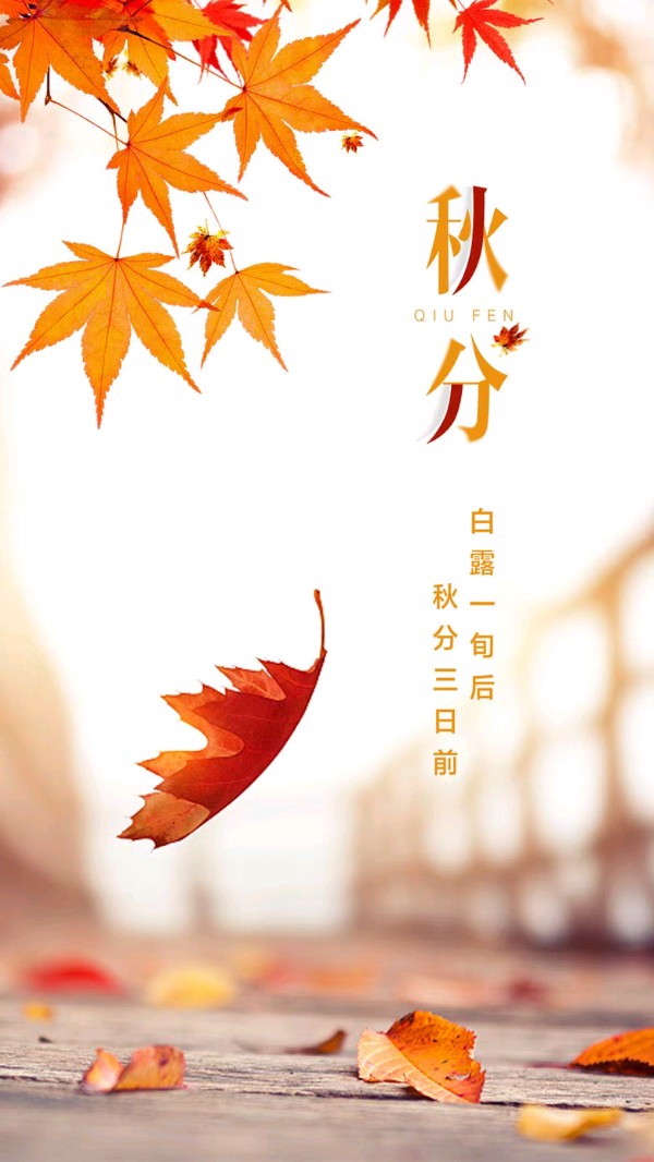 〔诗歌小辑〕秋水伊人*文/红叶（甘肃庆阳）【冰心文化传媒】（图6）