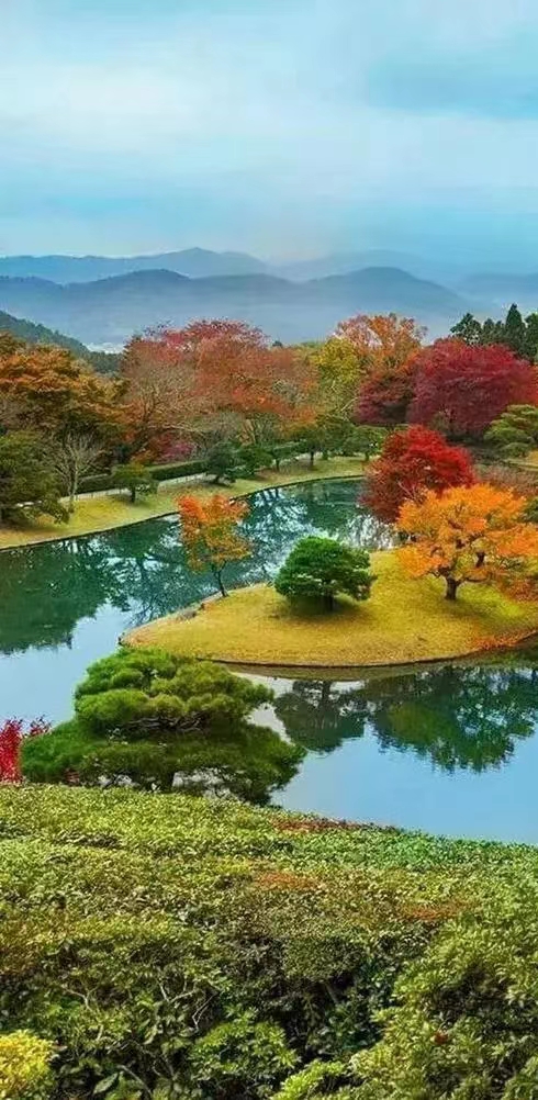 国风上海社 国庆.重阳双节第十七期诗刊—北京头条(图40)
