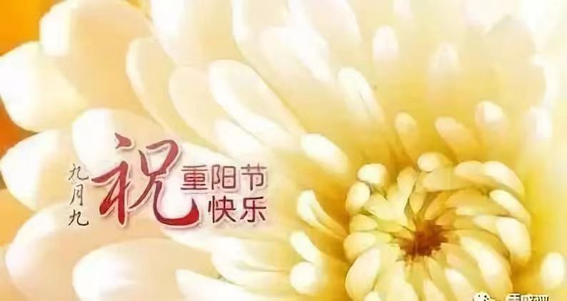 国风上海社 国庆.重阳双节第十七期诗刊—北京头条(图56)