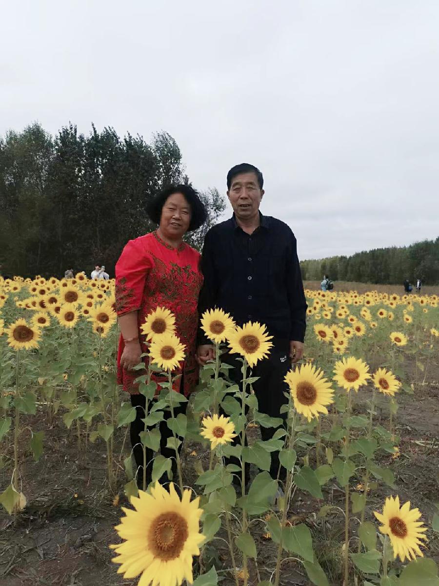 中华诗艺黑龙江分社推介/许彦华:乡愁是一枚落叶（图4）
