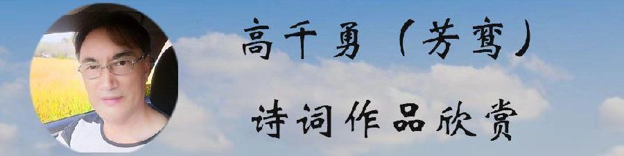 中华诗艺黑龙江分社推介/芳鸾:孤鸾、(新韵、朱体)今又重阳（图2）