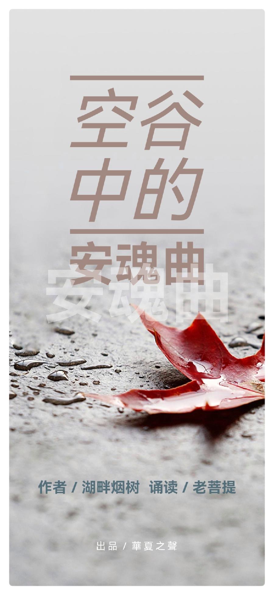 🎼 空谷中的安魂曲 🎼作者：湖畔烟树 诵读：老菩提（图2）