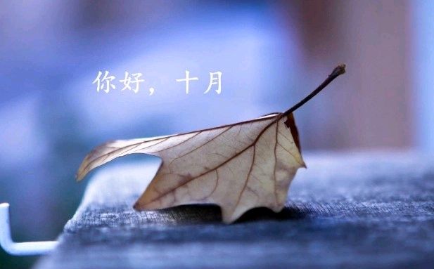 《听秋的声音》作者:褚向平（河北）【诵读:金牌主播:层林尽染】【桃源国际诗歌集团】[桃源♬ 馨声]（图6）