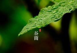 2022年冰心传媒推出*胡从发（湖北）诗词及评论专稿*主编 冰心（甘肃）（图10）