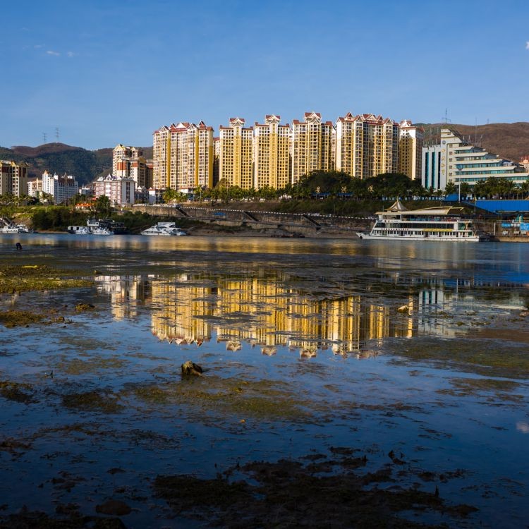 我在海南等你,作者,王顺 诵读/逯家驹 妙琪(图9)
