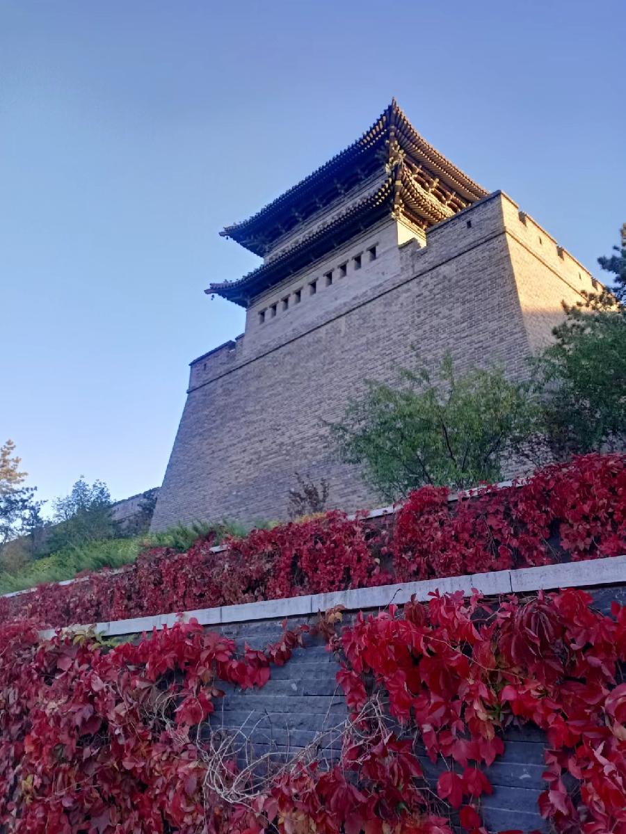 大同秋色（图7）