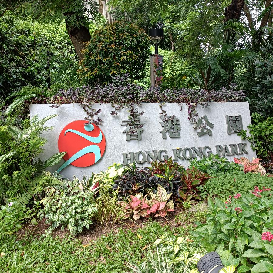 重阳节游香港公园（图3）