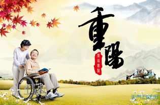 重阳节话生活（图5）