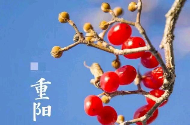 *重阳有吟* 文／陇上（陇南）【冰心文化传媒】（图8）