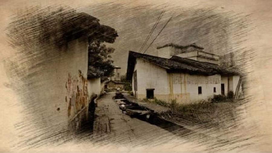 诗人林杨:乡愁，是一枚落叶（图5）