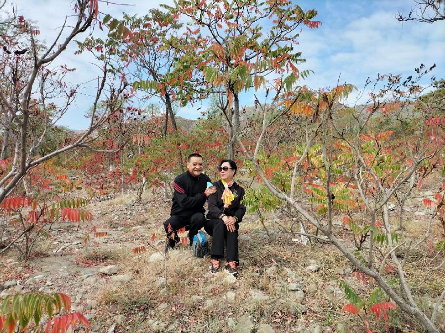 诗人于金奎:七律·重阳晨登贺兰山景（下平一先）（图3）