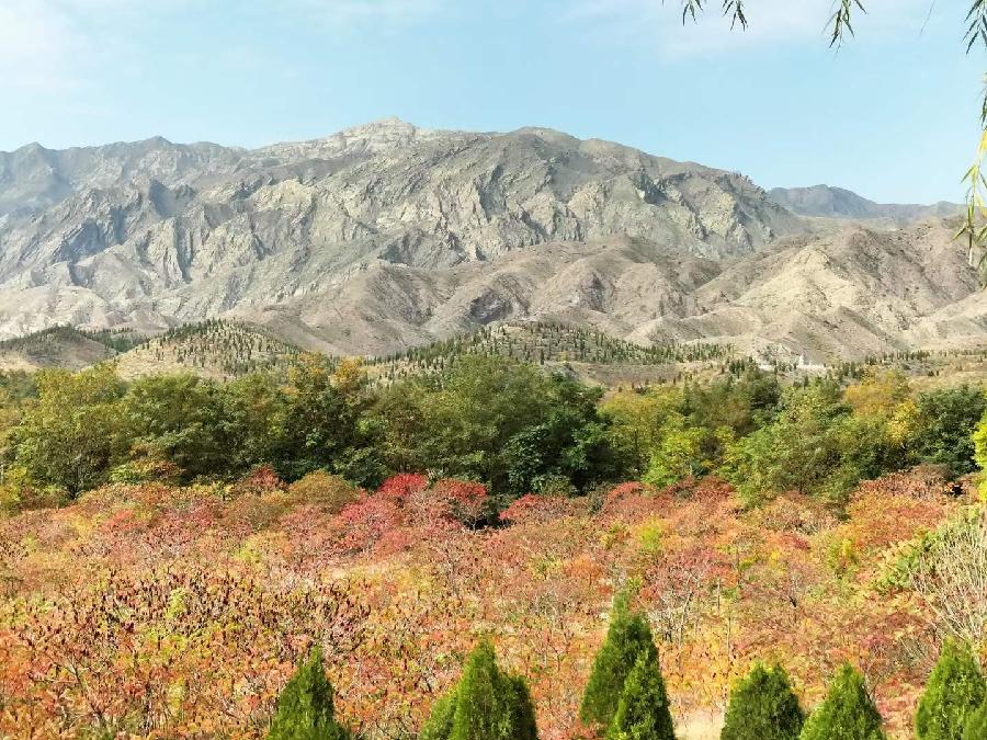诗人于金奎:七律·重阳晨登贺兰山景（下平一先）（图7）