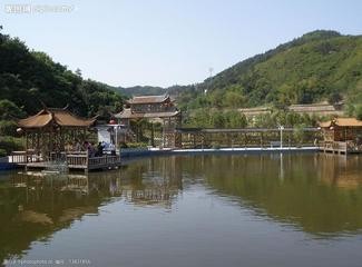 联机全球发布姚文长精品诗歌（图5）