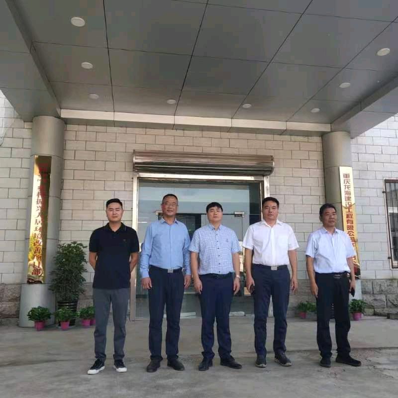 《重庆市龙海建设工程有限公司倾力绘就乡村和谐发展画卷》作者:苏红【主播:青苗】【桃源国际诗歌集团馨】（图5）