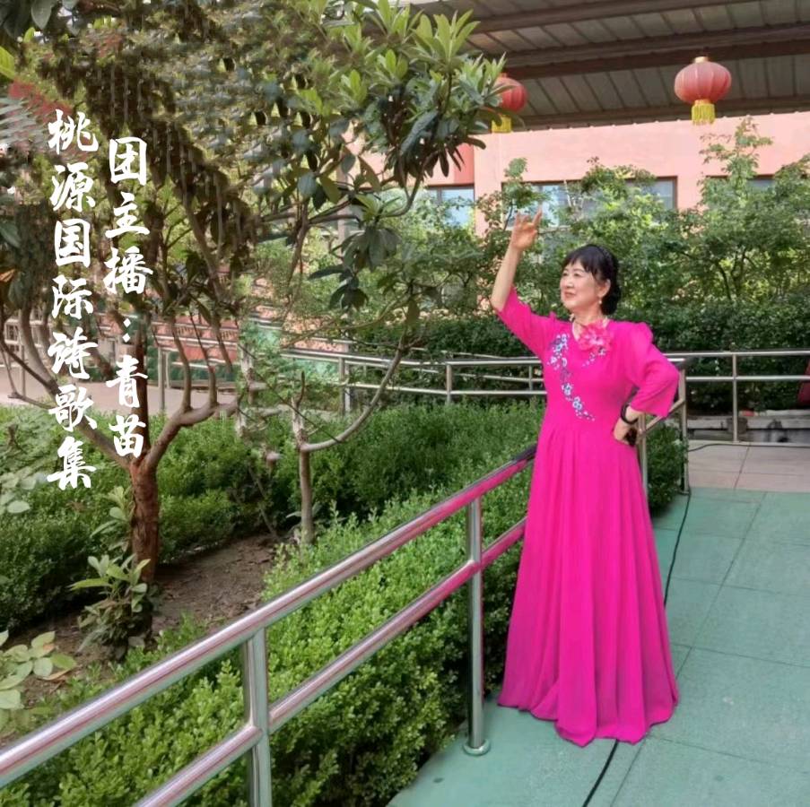 《重庆市龙海建设工程有限公司倾力绘就乡村和谐发展画卷》作者:苏红【主播:青苗】【桃源国际诗歌集团馨】（图15）