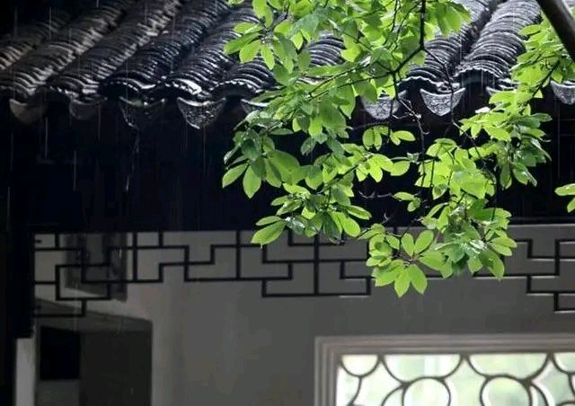 《听雨》作者:秋天的芦苇荡【主播:马艺军】【桃源国际诗歌集团】[桃源♬ 馨声]（图5）
