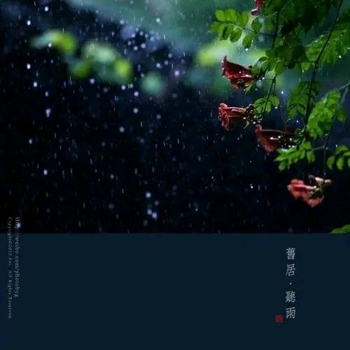 《听雨》作者:秋天的芦苇荡【主播:马艺军】【桃源国际诗歌集团】[桃源♬ 馨声]（图7）
