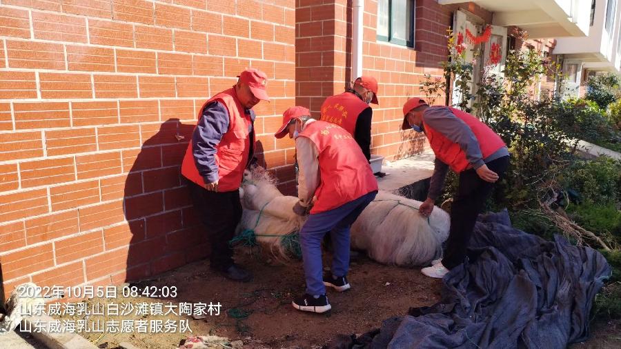 创建文明卫生城 志愿者倾情奉献（图4）