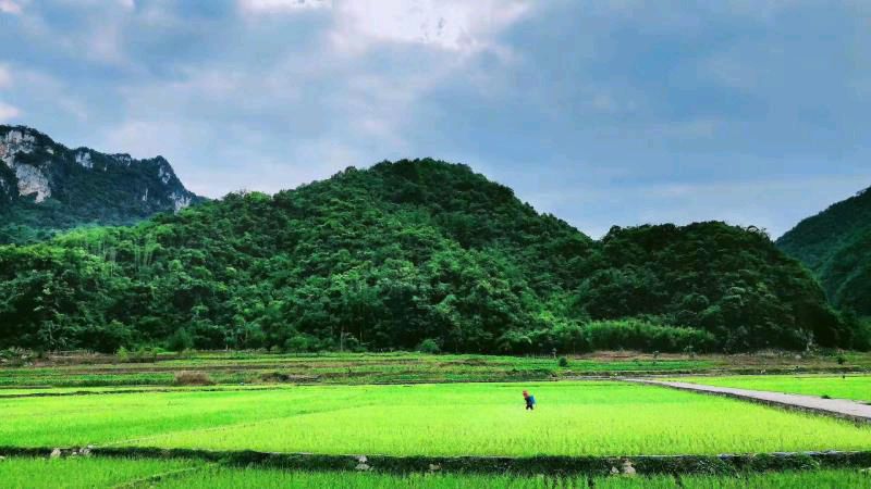 李昌勇:愿世间无痛,人间有爱
