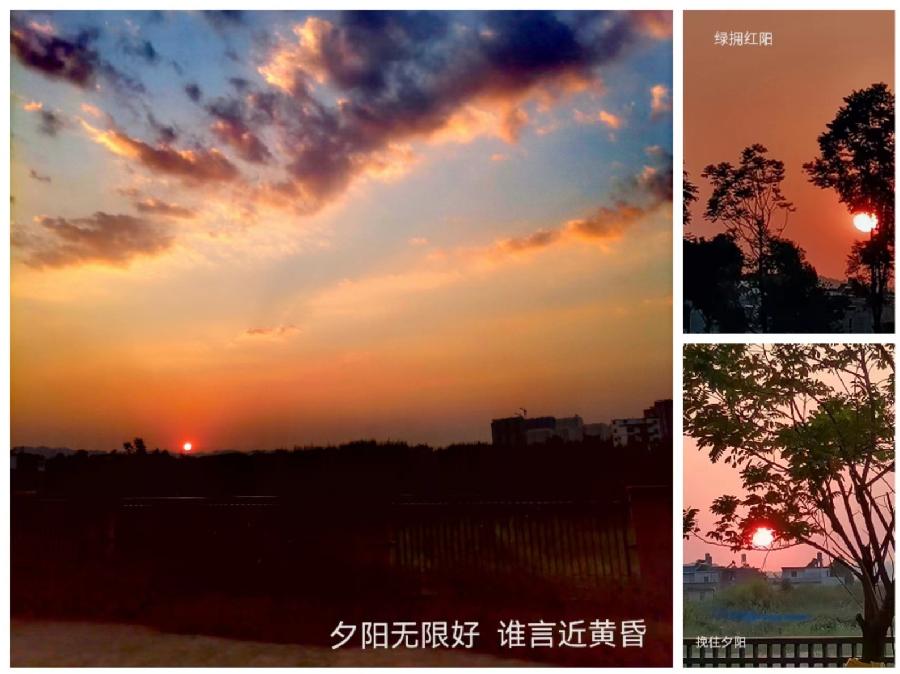 《李小燕老师佳作欣赏》《名家专刊》【九江文学社：北京头条】主编/洪新爱（图3）