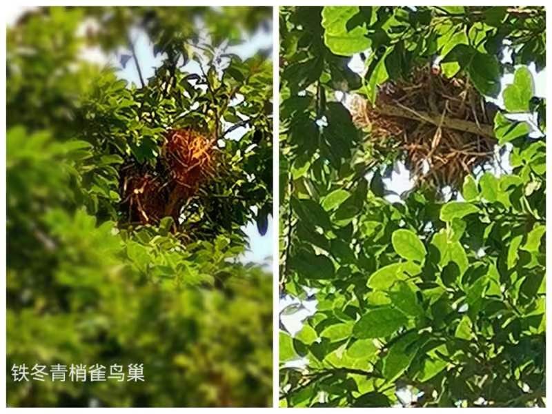 《李小燕老师佳作欣赏》《名家专刊》【九江文学社：北京头条】主编/洪新爱（图13）