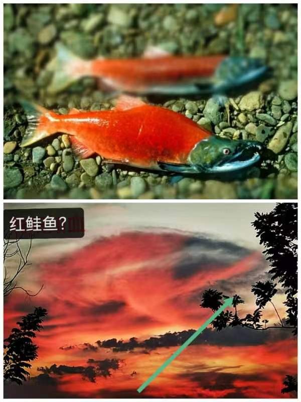 《李小燕老师佳作欣赏》《名家专刊》【九江文学社：北京头条】主编/洪新爱（图19）
