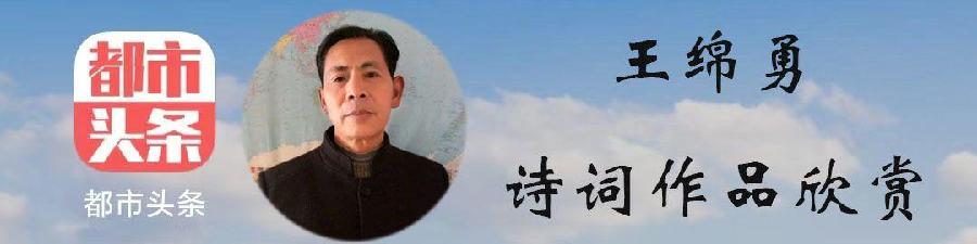 中华诗艺黑龙江分社推介/王绵勇:七排·贺水云间诗社成立一周年(外一首)（图3）