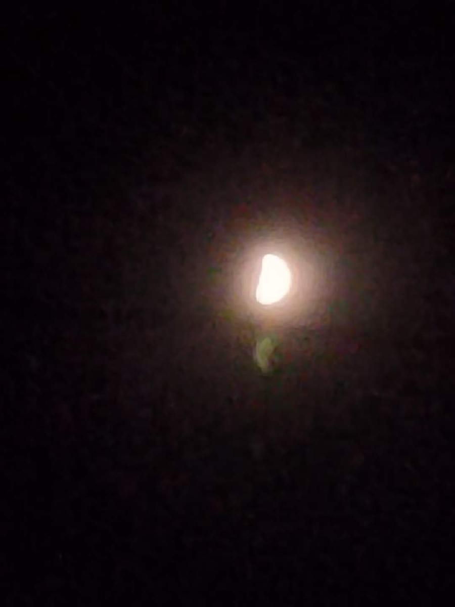 中华诗艺黑龙江分社推介/道可诗余斯文:一夜两重天（图7）