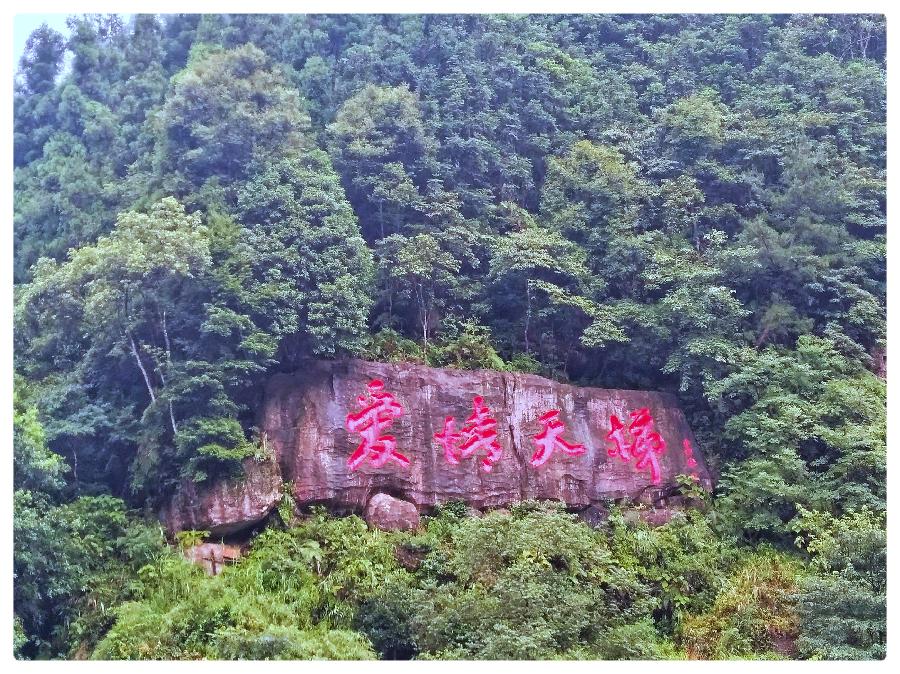 爱情天梯∥作者：湖畔烟树∥诵读：老菩提（图3）