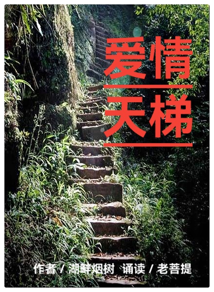 爱情天梯∥作者：湖畔烟树∥诵读：老菩提（图2）