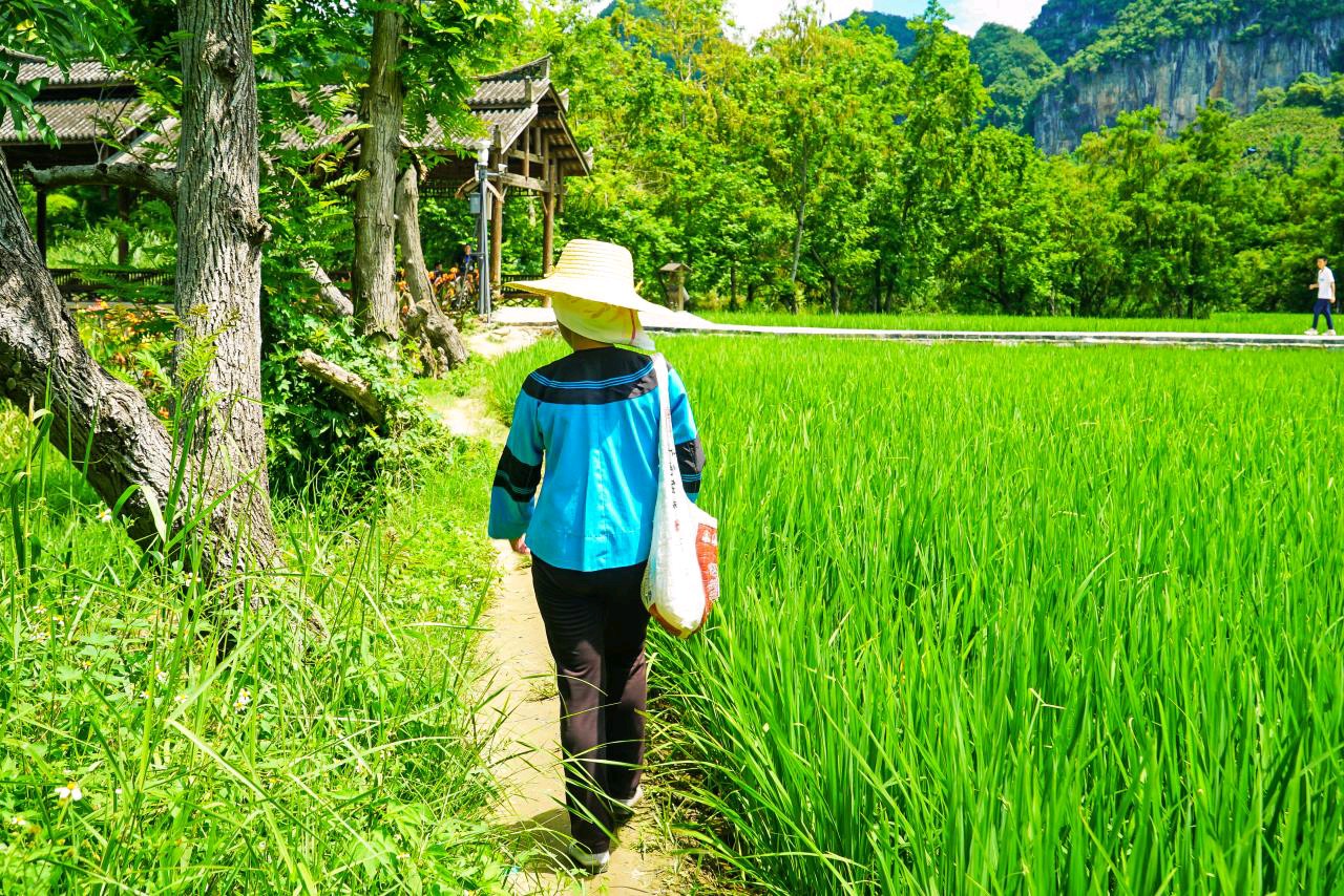 云南:和柔软坝美,共赴一场世外之旅(图3)