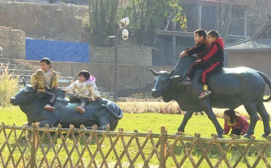 云南:和柔软坝美,共赴一场世外之旅(图7)