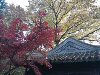 《北美翰苑散文诗社》0012期~周刊(图29)
