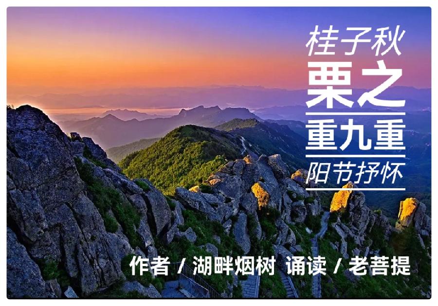 《桂子秋栗之重九重阳节抒怀》作者:湖畔烟树 诵读:老菩提(图2)