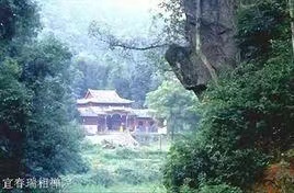 阳春三月（江西）诗词专辑一【冰心文化传媒】（图14）