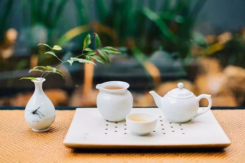 金华八咏诗社蒋瑾老师诗词欣赏（图2）