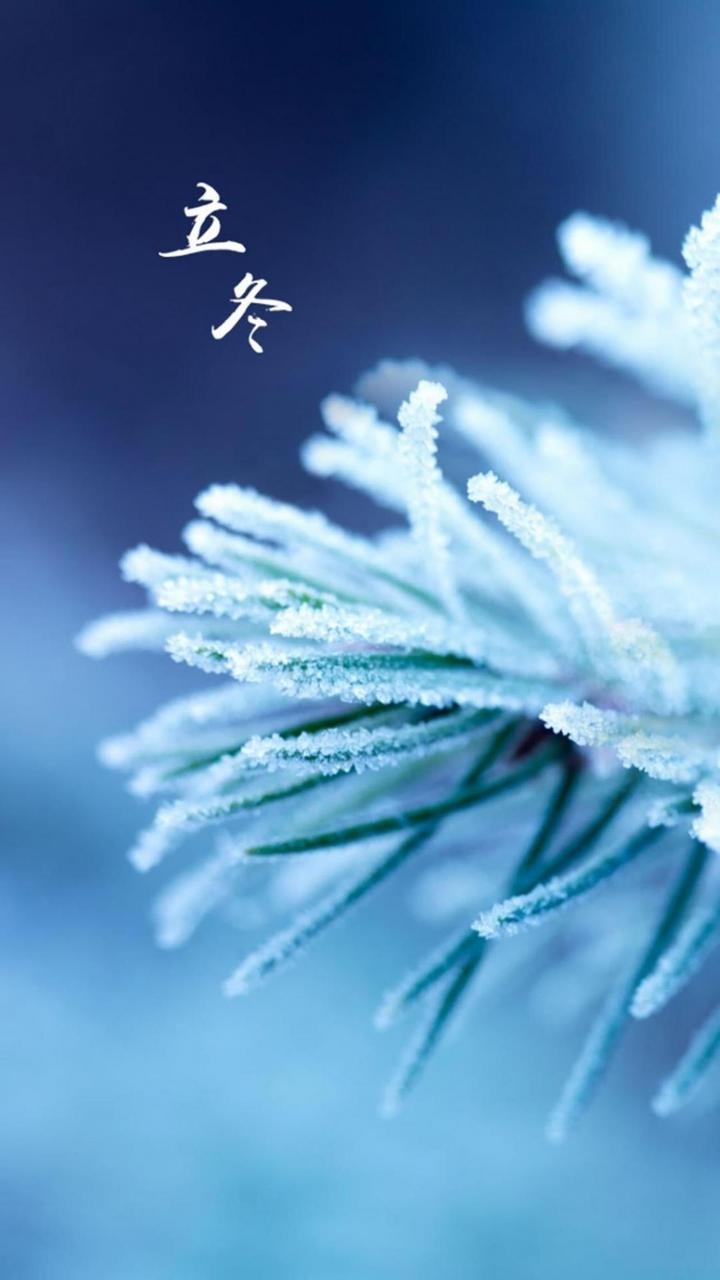 中华诗艺黑龙江分社/【诗人专辑】高德军（村夫）七绝•十六首（图11）
