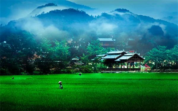云南:普者黑和坝美景区上榜“稻花香里说丰年”全国乡村旅游精品线路(图3)