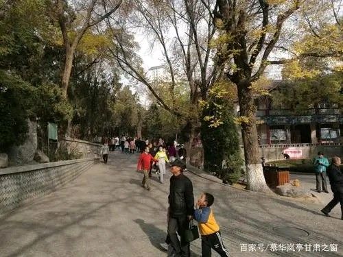 《早安，兰州》作者:对月凭栏【主播:金牌主播:梦醒群岚】【桃源国际诗歌集团】[桃源♬ 馨声]（图7）