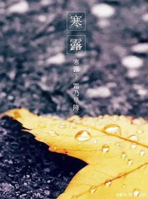 寒 露‖文图/赵京江（图10）