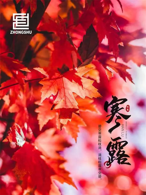 寒 露‖文图/赵京江（图7）