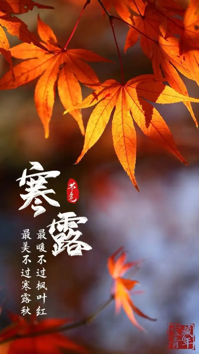 寒 露‖文图/赵京江（图9）